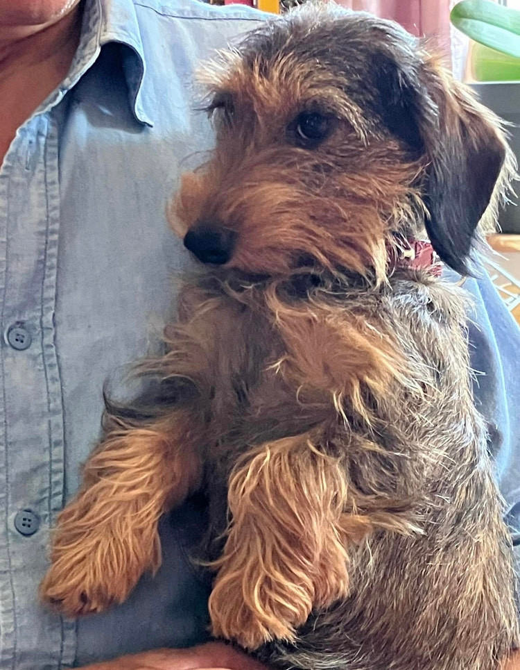 Tartine Du Domaine Brunemont